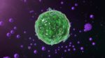Mast cell Activation Syndrome (MCAS)