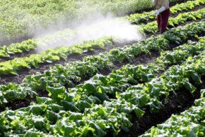 pesticides