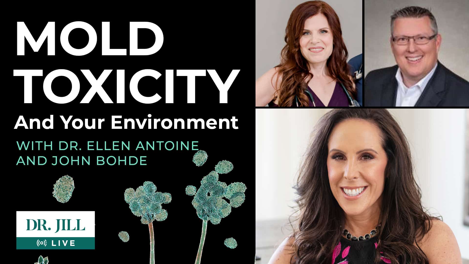 3: Everything you need to know about Mold Toxicity and Your Environment