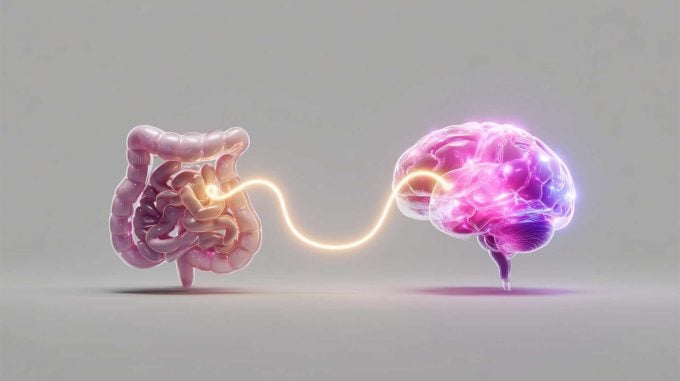 Gut-Brain Gut-Brain