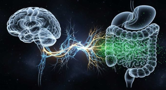 Gut-Immune-Brain Gut-Immune-Brain