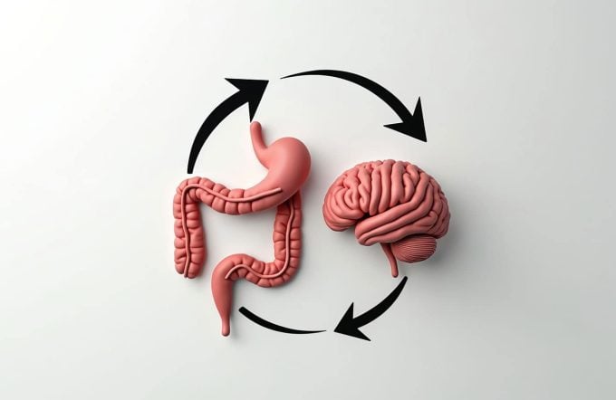 GutBrain The Gut-Brain Connection: How Inflammation and Your Microbiome Impact Depression