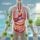 Clinical Pearls for Mold and Mycotoxin Illness