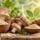 Beta Glucans