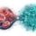 Babesiosis and the Gut