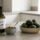 The Healthy Oils Guide